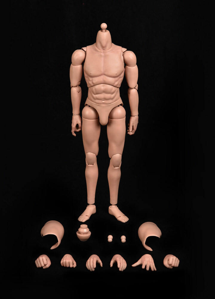 1/6th Scale ”STANDARD BODY” Type-A Detachable Neck