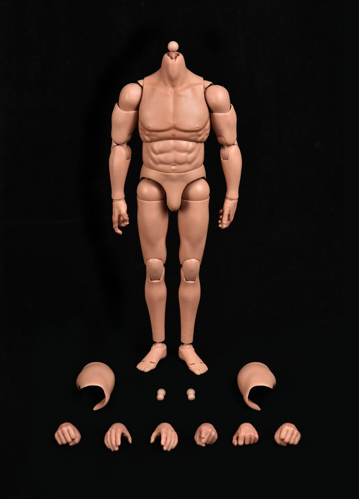 1/6th Scale ”MUSCULAR BODY”  Type-C Non-Detachable Neck (Muscular)